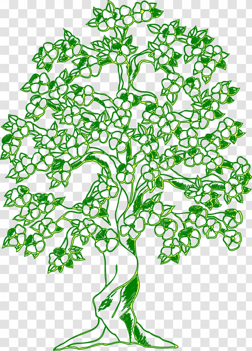 Coloring Book Tree Wall Decal Child - Ecological Environment Transparent PNG
