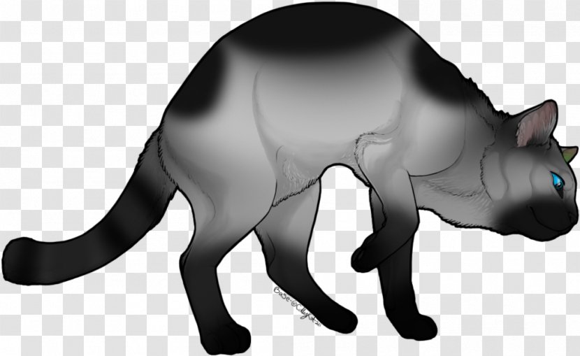 Whiskers Kitten Black Cat Domestic Short-haired Transparent PNG