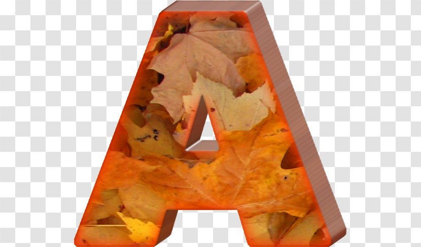 Letter Autumn Leaf Color Alphabet - Amusement In Letters Transparent PNG