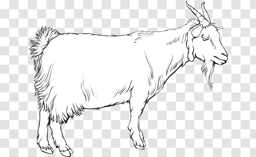 Cattle Ox Goat Sheep Line Art - Animal Transparent PNG