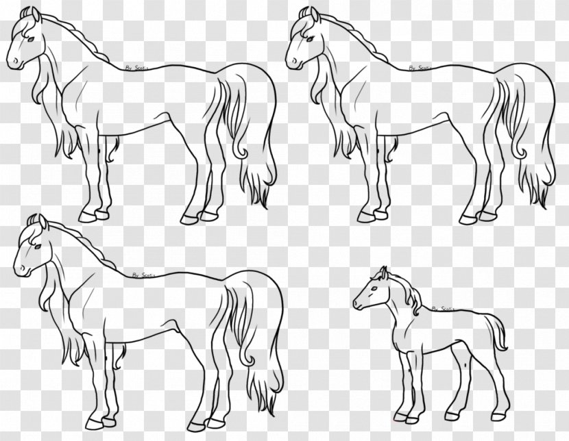Horse Pony Drawing Coloring Book Painting - Head Transparent PNG