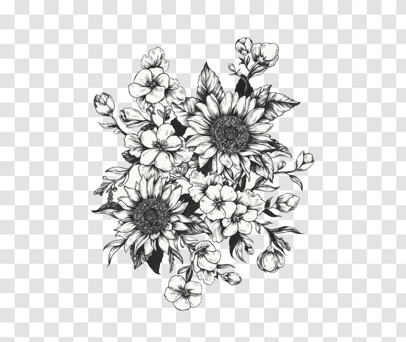 Drawing Common Sunflower Diagram Sketch - Artwork - Botany Transparent PNG