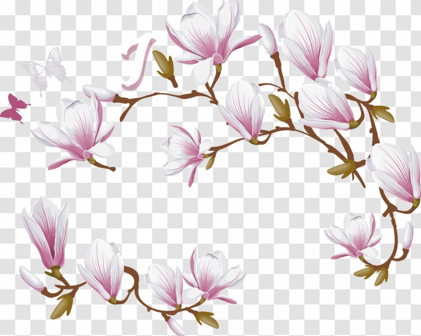 Magnolia Denudata Love - Twig - Flower Decoration Vector Transparent PNG