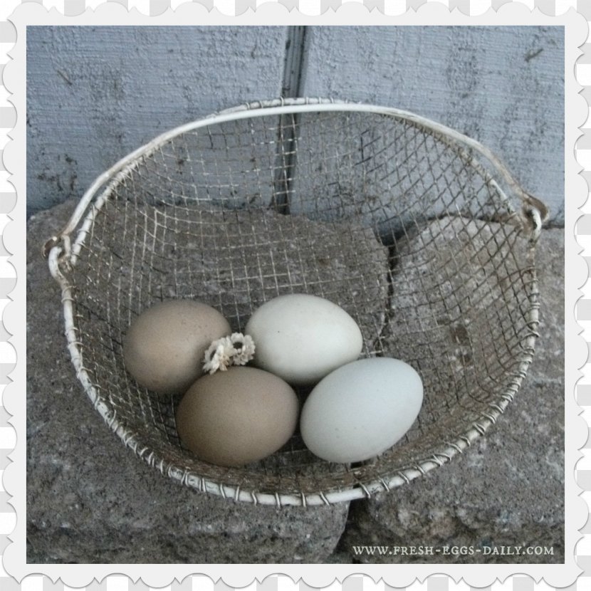 Egg - Fresh Eggs Transparent PNG
