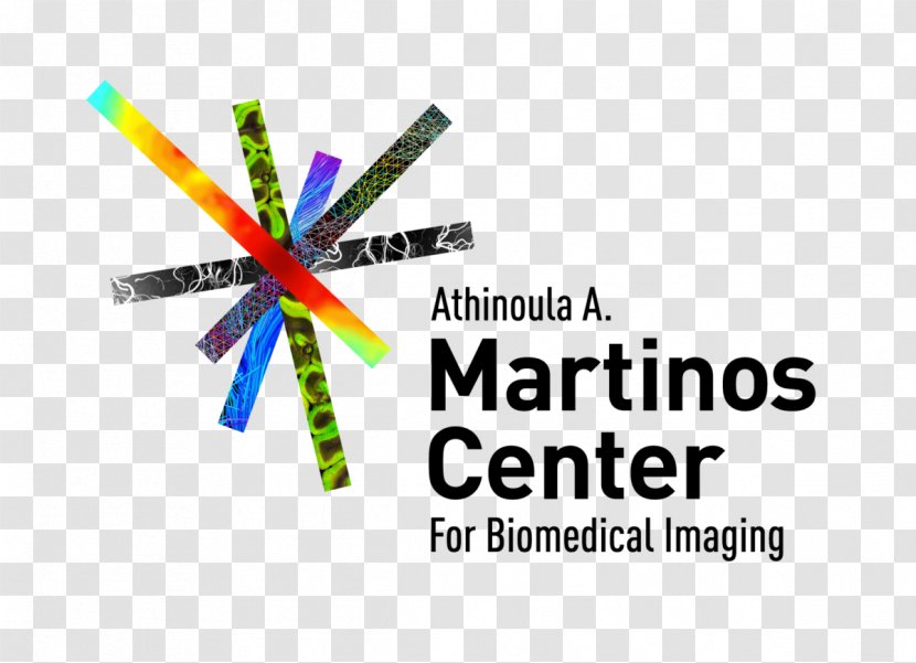 Harvard Medical School Massachusetts General Hospital Athinoula A. Martinos Center For Biomedical Imaging Medicine - Technology - Health Transparent PNG