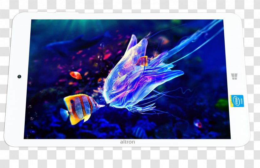 Jellyfish Underwater Animal Ocean Nature - Aquatic - Sea Transparent PNG