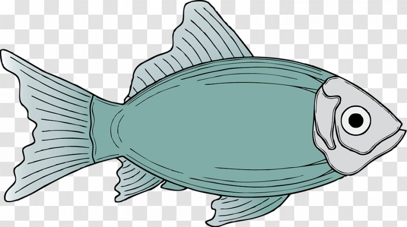 Fish Free Content Clip Art - Seafood - Illustrations Transparent PNG