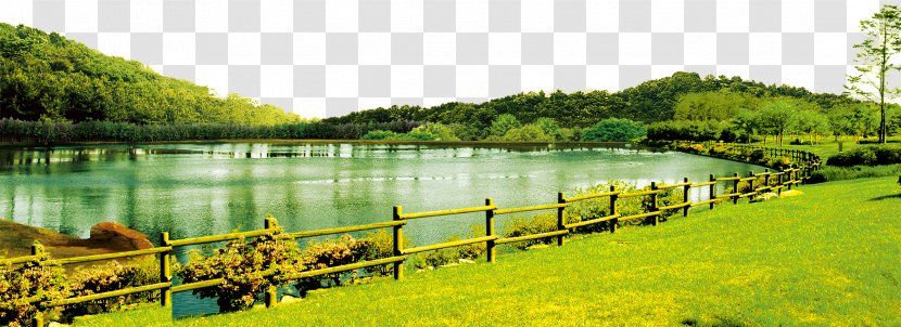 Lawn Villa Lake Pond - Nature - Forest Grass Green Railing Transparent PNG