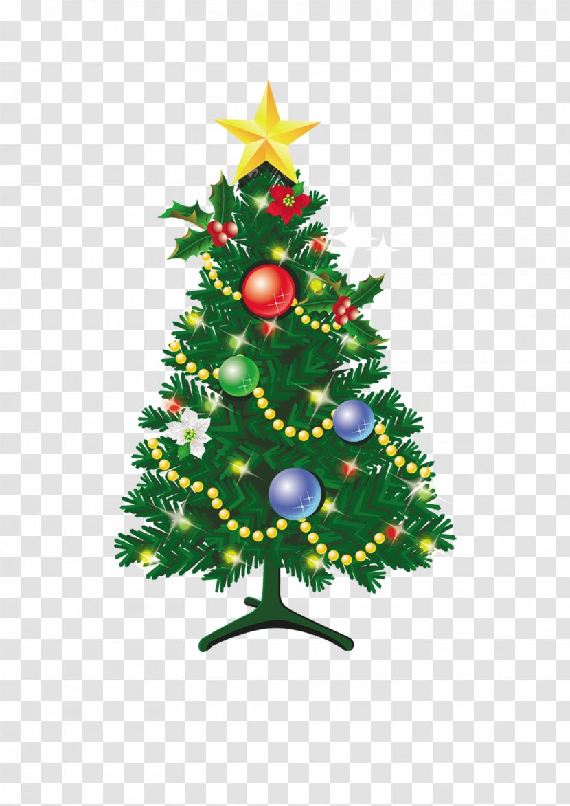 Christmas Tree Illustration - Evergreen - Trees Leaves Transparent PNG