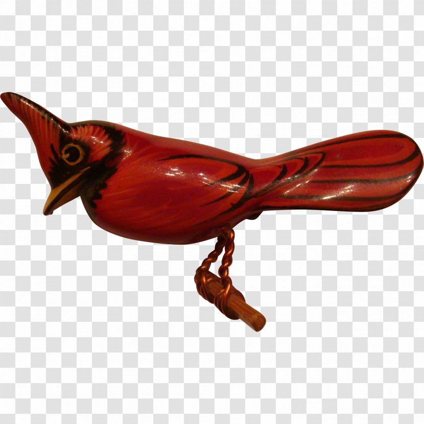 Beak - Hand Painted Bird Transparent PNG