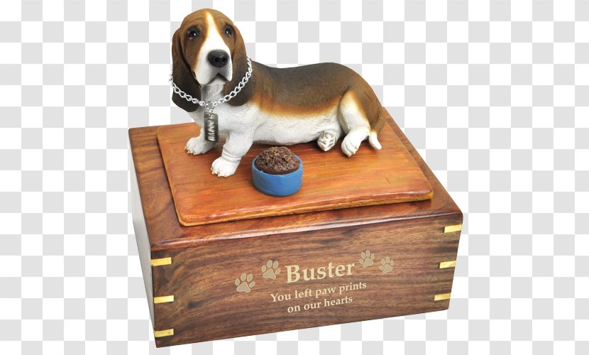 Beagle Basset Hound Fauve De Bretagne Artésien Normand Bassett Hounds - Box Transparent PNG