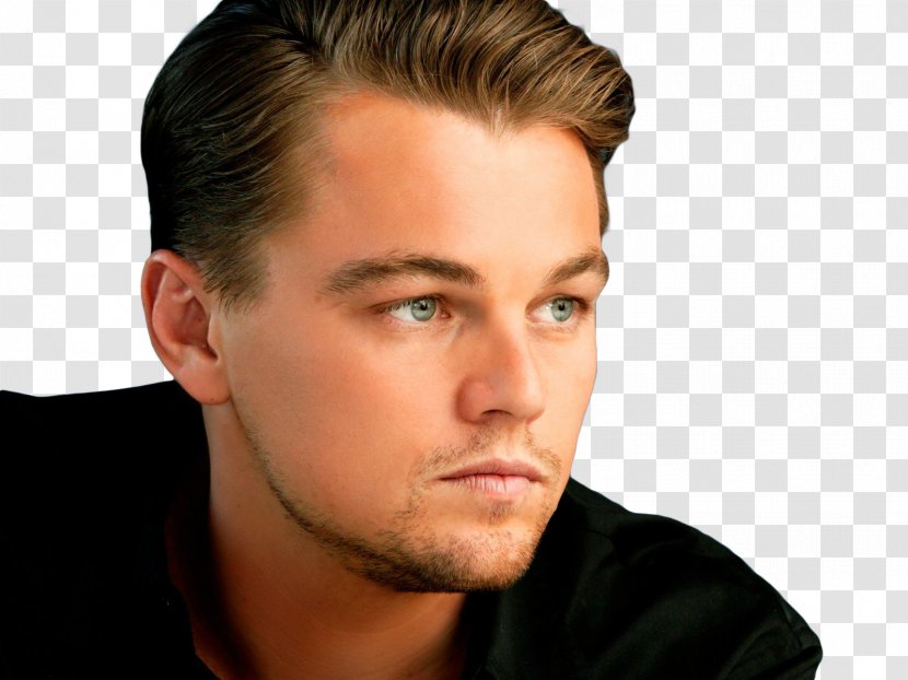 Leonardo DiCaprio The Wolf Of Wall Street Billy Costigan Jack Dawson Actor - Cheek - Dicaprio Transparent PNG