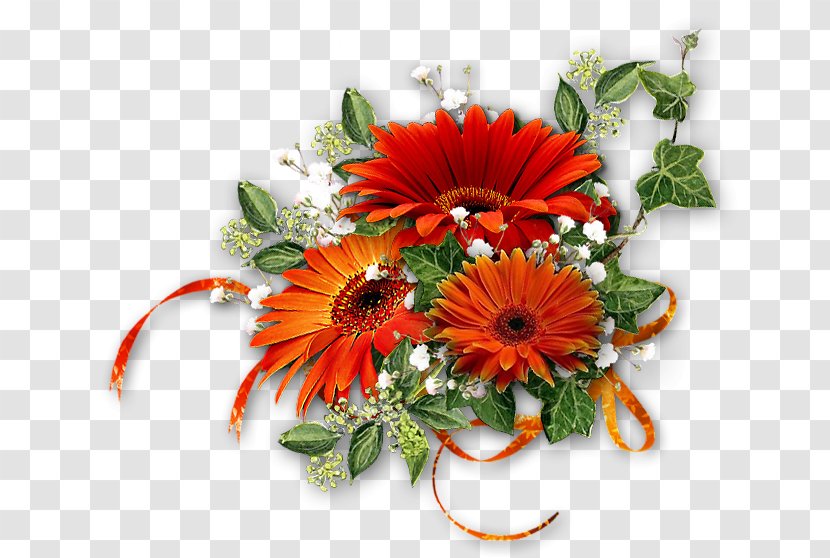 German Chamomile Flower Bouquet - Transvaal Daisy Transparent PNG