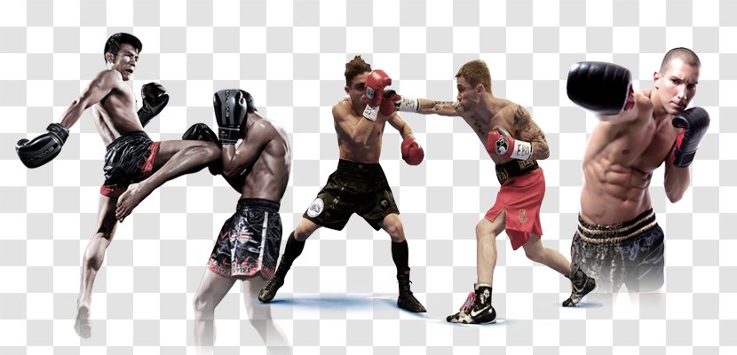 Boxing Glove Akademiya Muay Thai Sport - Everlast Transparent PNG