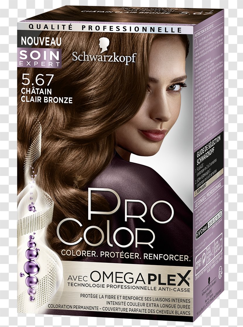 Chestnut Schwarzkopf Color Noisette Hair Permanents & Straighteners - Coloured Powder Transparent PNG