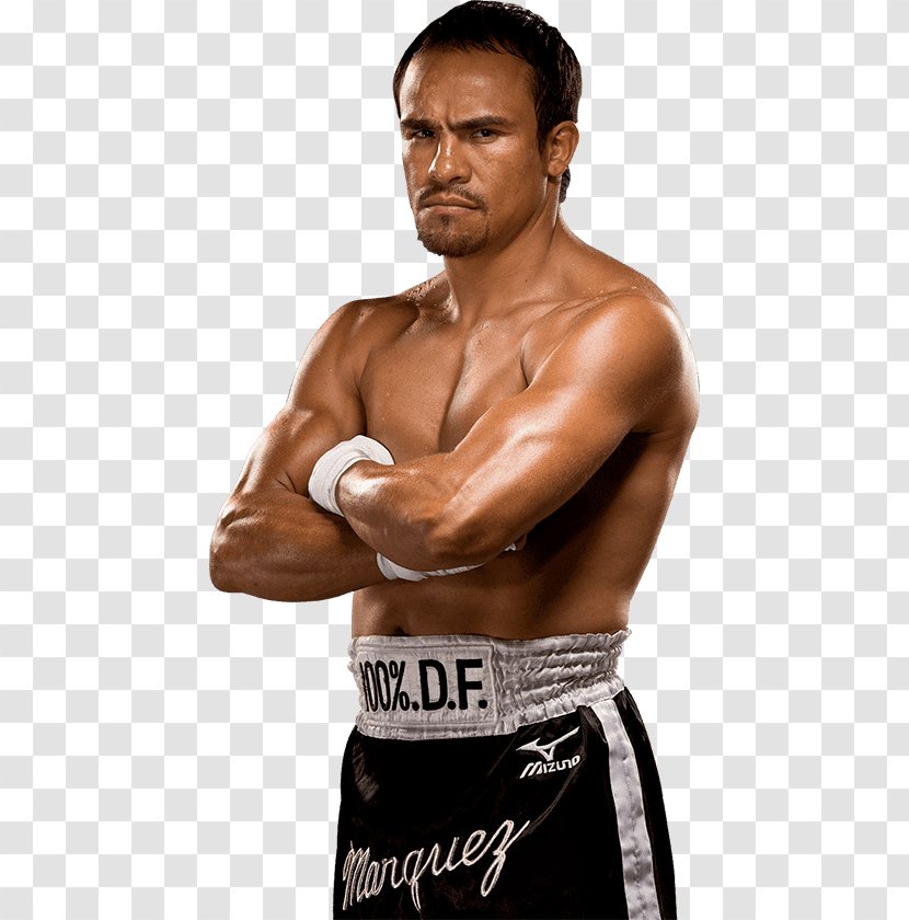 Manny Pacquiao Vs. Juan Manuel Márquez III IV Boxing Glove - Tree Transparent PNG