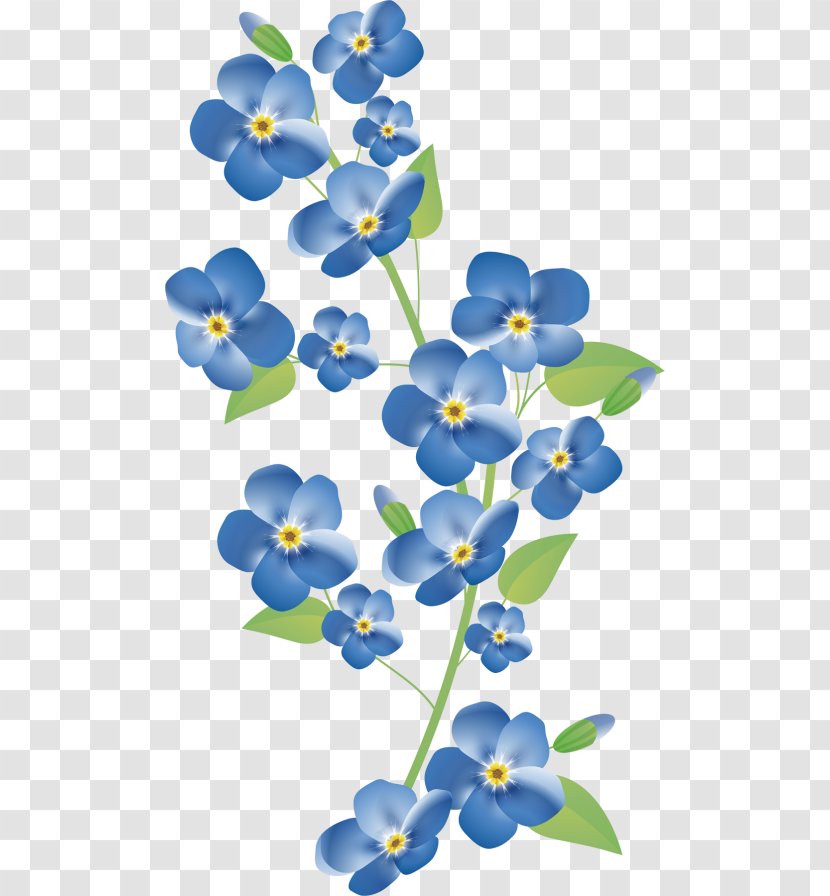 Scorpion Grasses Cut Flowers Floral Design Petal - Blue - Tough Transparent PNG