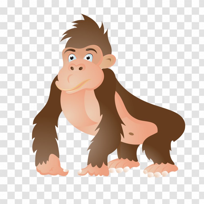 Ape Western Gorilla Orangutan Vector Graphics Clip Art - Snout - Big Transparent PNG