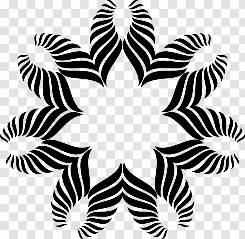 Petal White Line Symmetry Clip Art - Organism - Design Transparent PNG