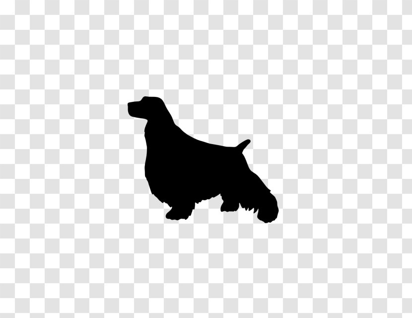 Dog Breed English Cocker Spaniel Springer Flat-Coated Retriever Field - American Transparent PNG