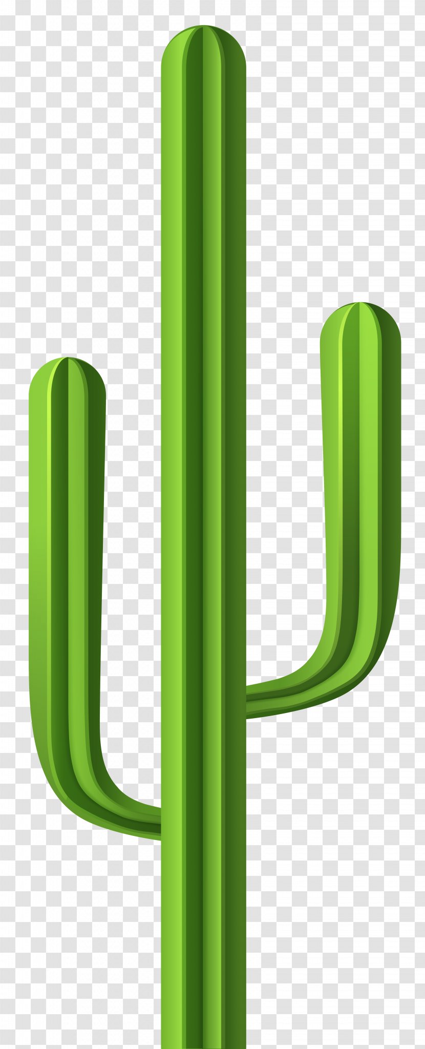 Cactaceae Clip Art - San Pedro Cactus - Image Transparent PNG