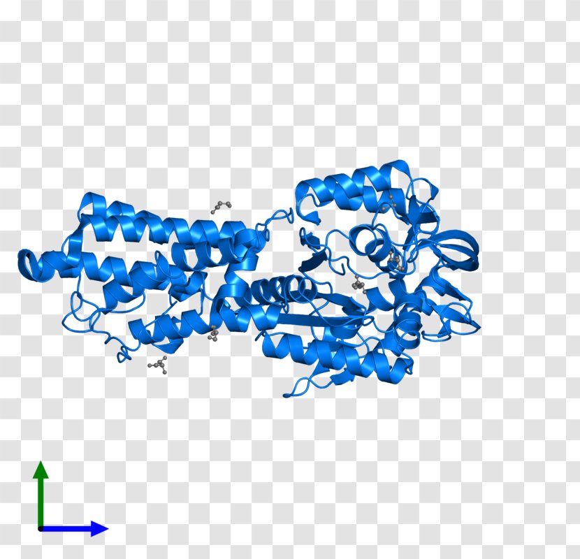 Product Line Graphics Point Font - Electric Blue - Trna Transparent PNG