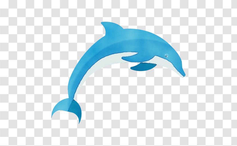 Dolphin Bottlenose Fin Common Marine Mammal - Animal Figure - Dolphins Transparent PNG