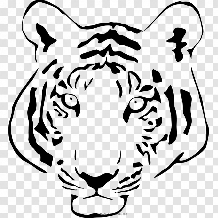 Tiger Whiskers Cat Black And White Clip Art - Vertebrate Transparent PNG