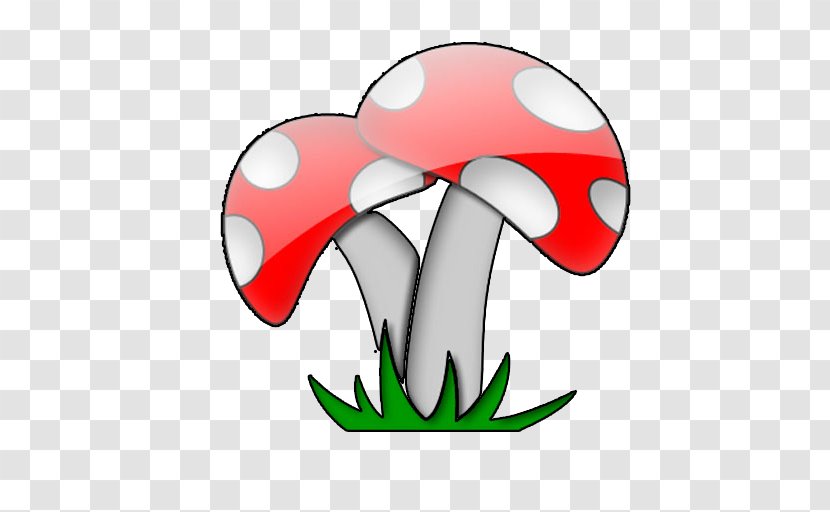 Mushroom Fungus - Flower - Creative Small Mushrooms Transparent PNG