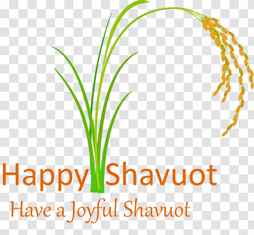 Happy Shavuot Shavuot Shovuos Transparent PNG