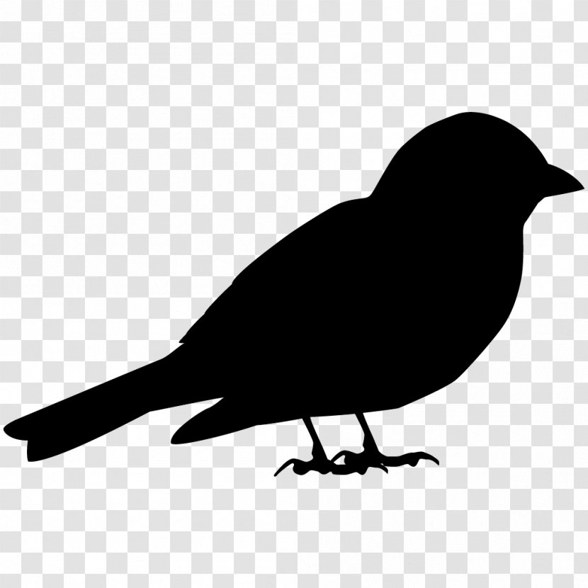 House Sparrow Bird American Crow Song - Blackchinned Hummingbird Transparent PNG