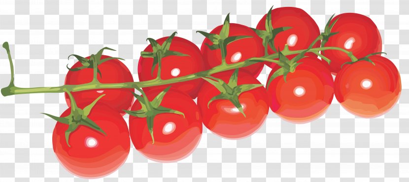 Cherry Tomato Juice Clip Art - Tomatoes Transparent PNG