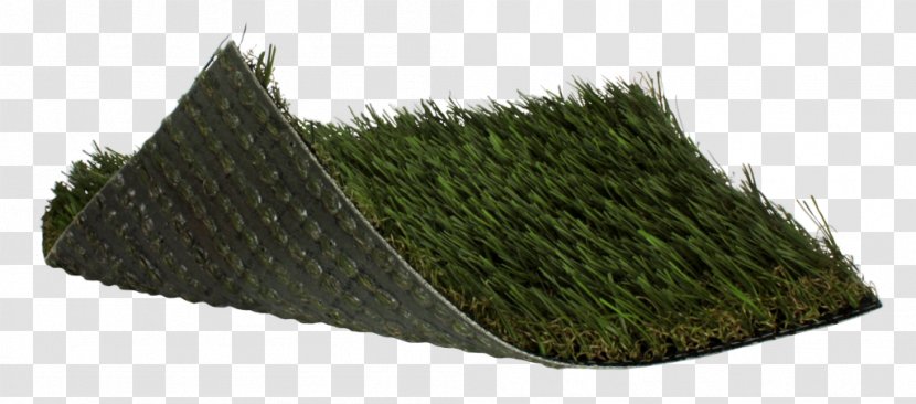 National City Artificial Turf Sport Baseball Fast Grass - Metro Synthetic Perth Transparent PNG