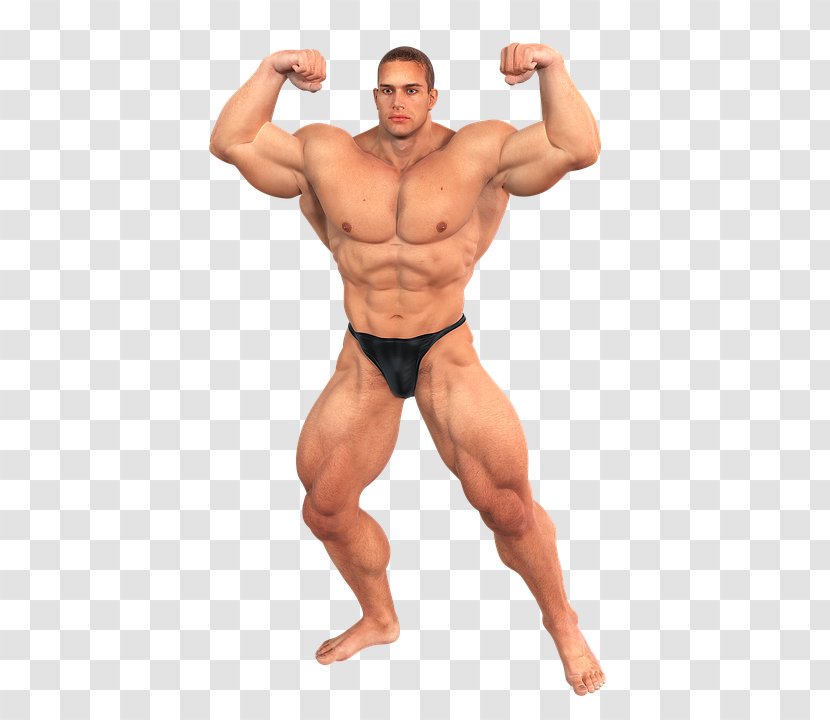 Muscle & Fitness Bodybuilding Physical Human Body - Frame Transparent PNG