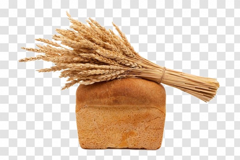 Whole Grain Photography Bread Wheat Clip Art - Pressfoto Transparent PNG