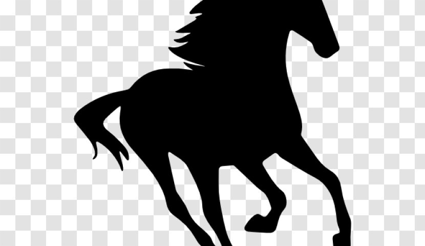 Hair Cartoon - Head - Horse Supplies Blackandwhite Transparent PNG