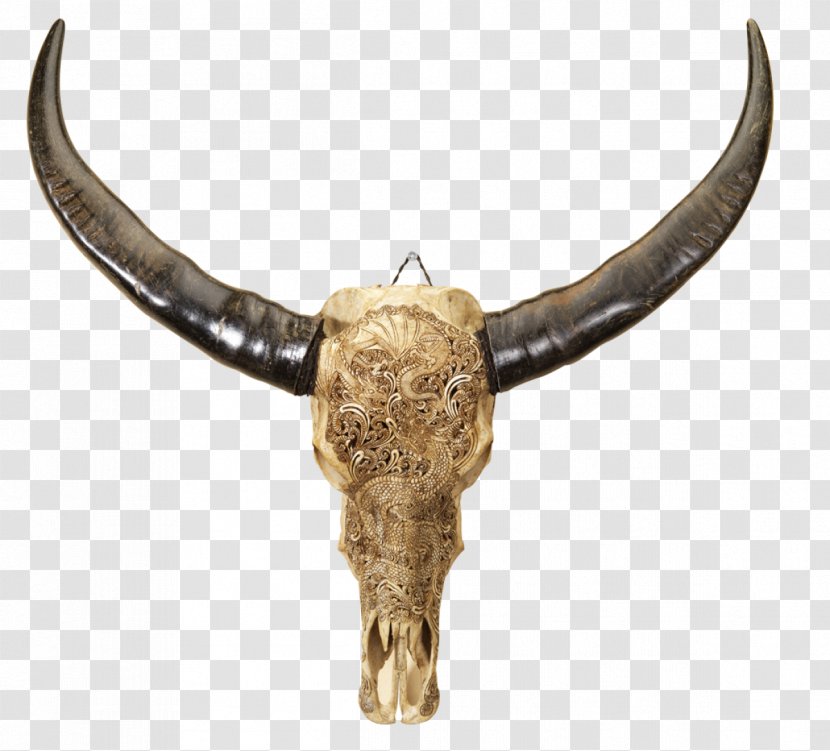Human Skull Water Buffalo Bone Horn - Architecture Transparent PNG