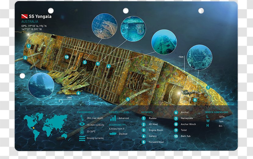 SS Yongala World Of Diving Marine Biology Organism Tauchgang - Ocean Map Transparent PNG