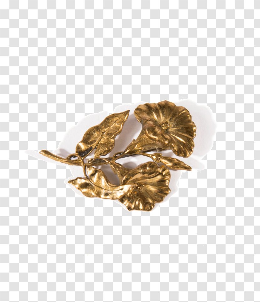 01504 Brass Transparent PNG