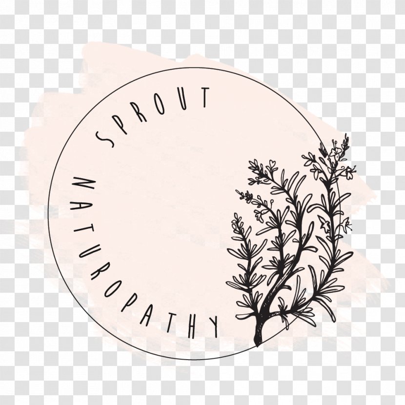 Herb Drawing Officinalis Spice Font - Tree - Sprout Transparent PNG