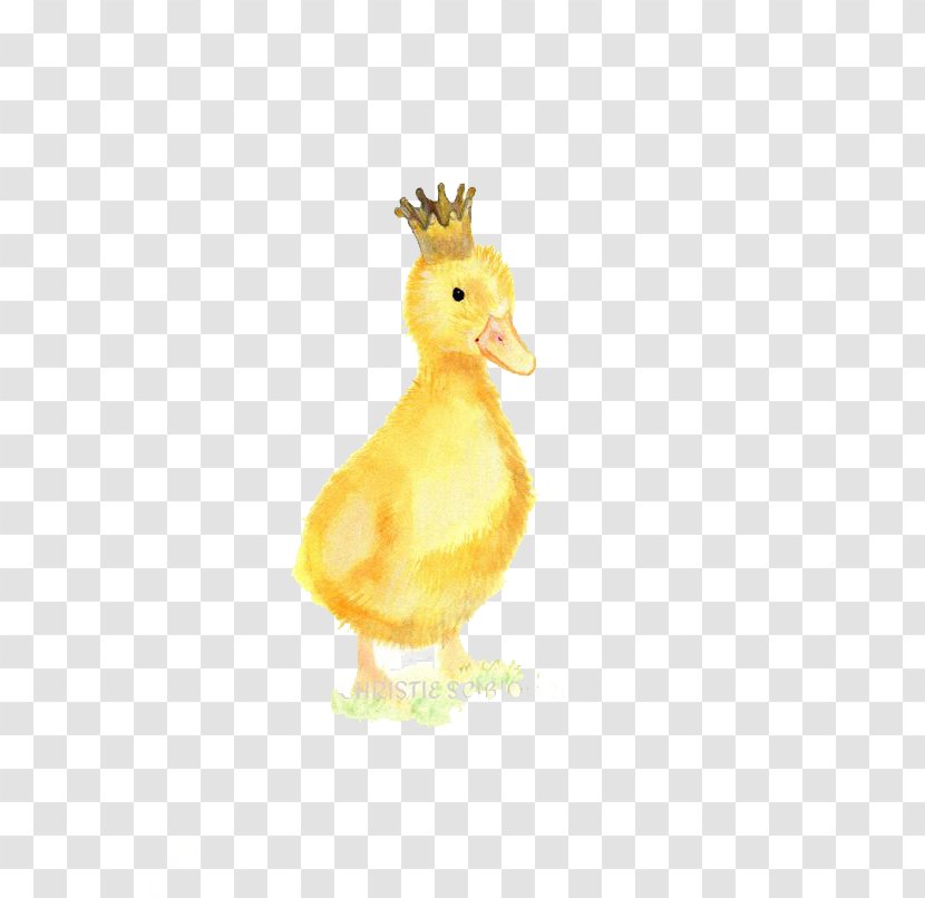 Duck Crown Illustration - Water Bird Transparent PNG