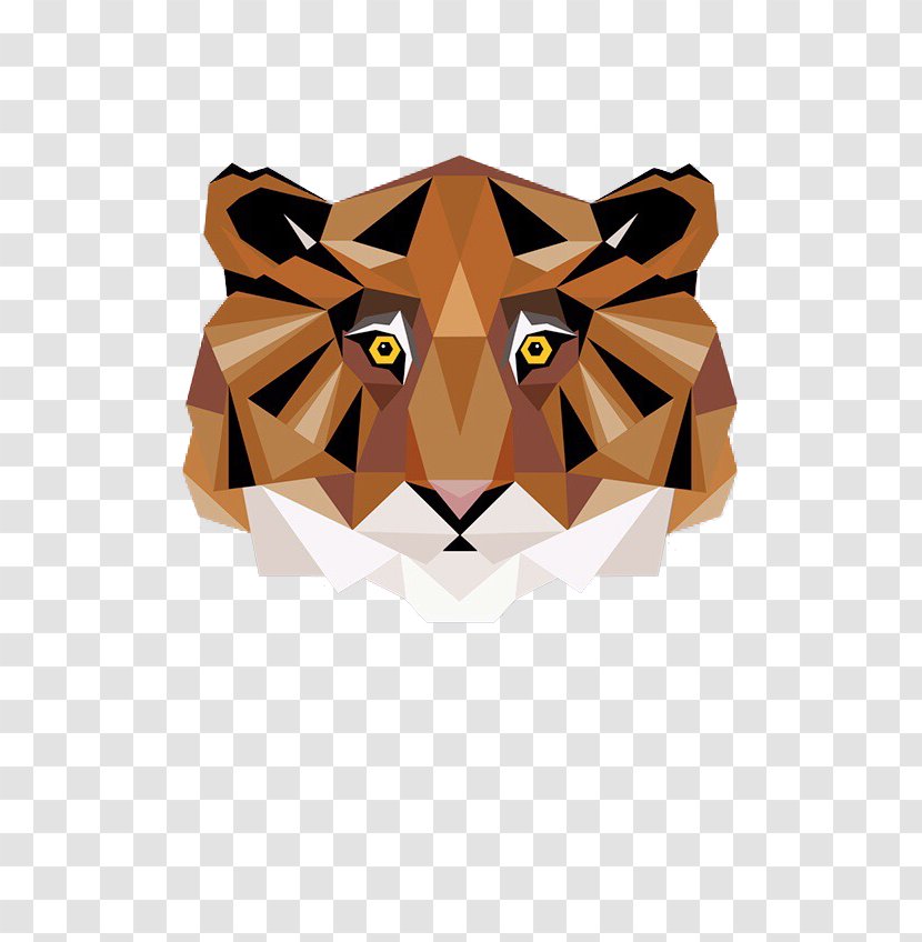 Tiger Animal Geometry Musical Composition - Carnivoran - Triangle Of The Head Transparent PNG