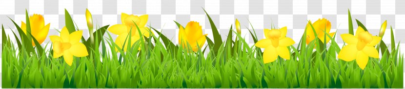Flower Stock Photography Euclidean Vector Clip Art - Plant - Grass With Daffodils Clipart Transparent PNG