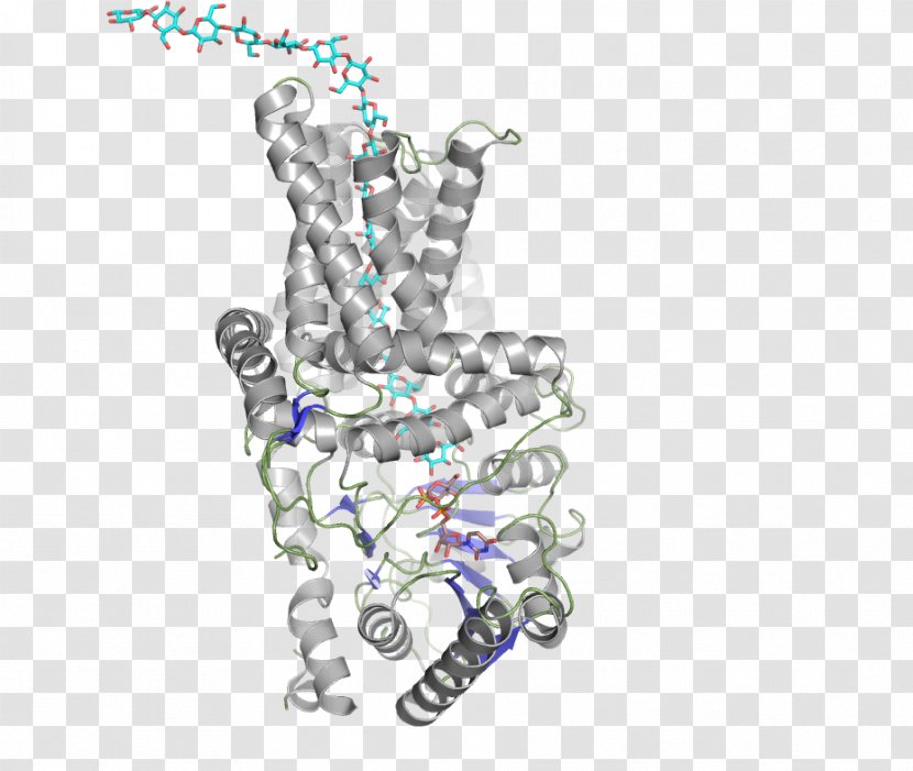 Cellulose Synthase Enzyme Glucan - Body Jewelry - Chemical Reaction Transparent PNG