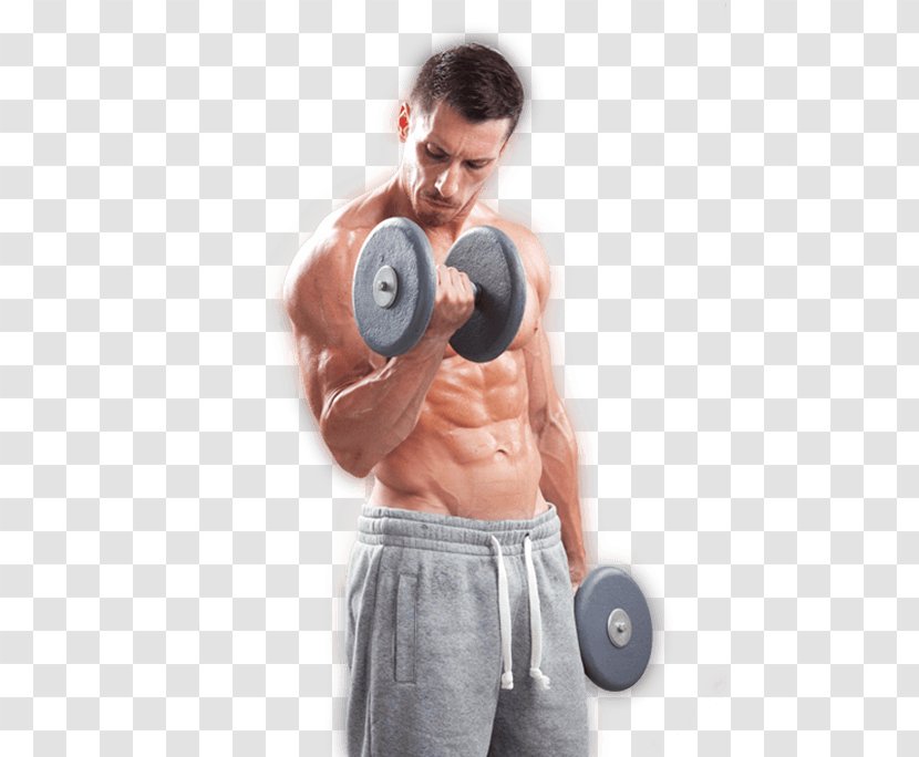 Dietary Supplement Muscle Bodybuilding Physical Strength Training - Silhouette Transparent PNG
