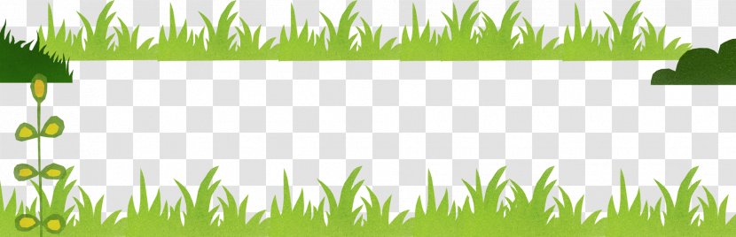 Lawn Grassland Vetiver Wheatgrass Vegetation - Chrysopogon - Tree Transparent PNG