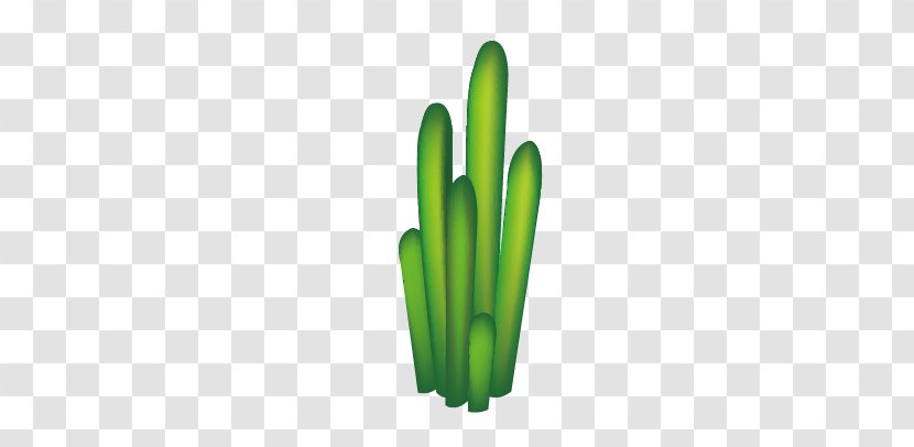 Adobe Illustrator Download Software Upload - Systems - Cactus Transparent PNG