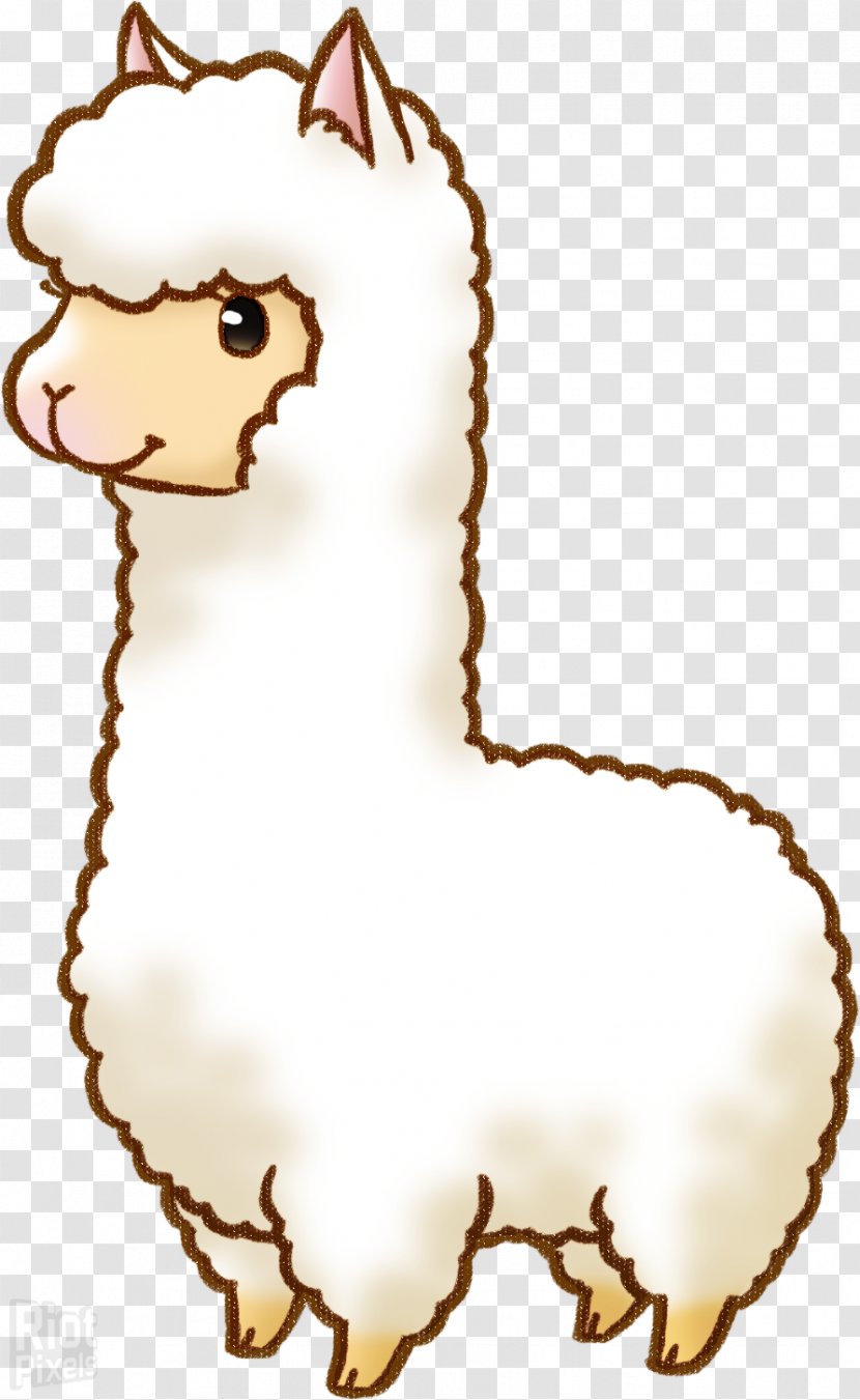 Llama Alpaca Drawing Cartoon Clip Art Transparent PNG