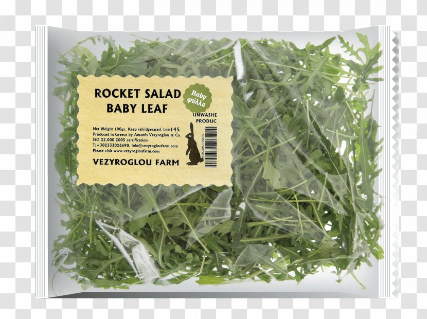 Leaf Vegetable Herbalism - Grass - Salad Transparent PNG