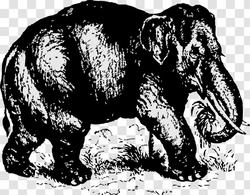 Indian Elephant Clip Art - African Transparent PNG